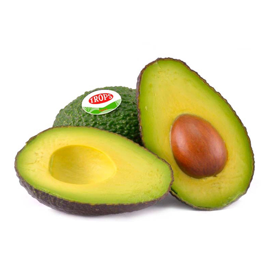 AGUACATE, KG TROPS