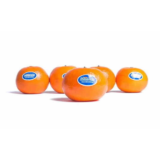 MANDARINAS PLASENCIA, KG PLASENCIA