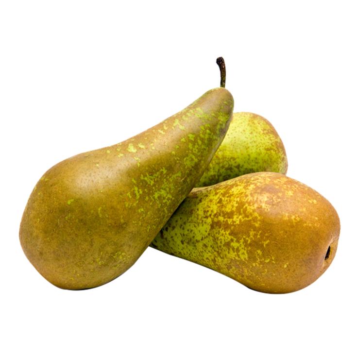 PERA CONFERENCIA, KG 