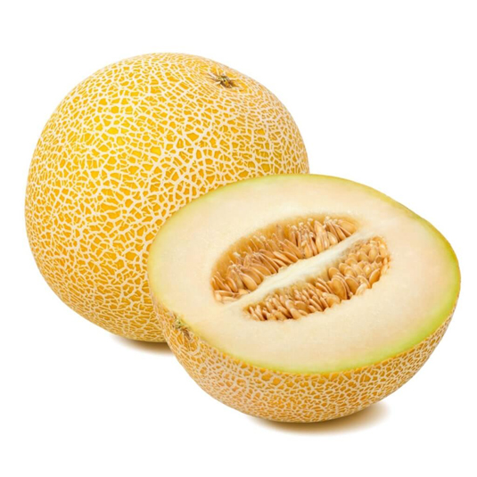 MELON GALIA PLAZA