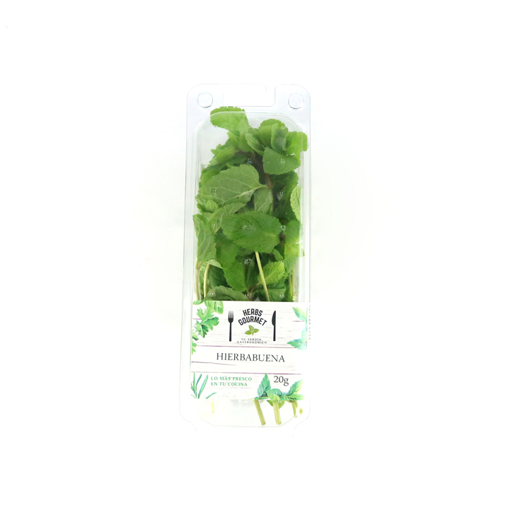 HIERBABUENA BLISTER , 20G HERBS GOURMET