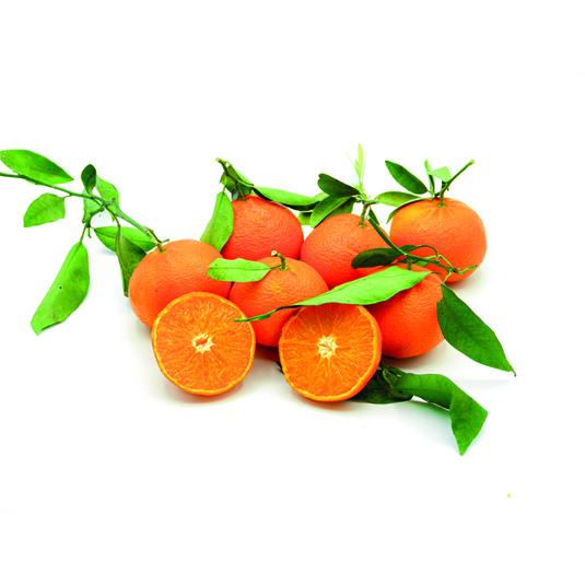 MANDARINA, KG PLAZA