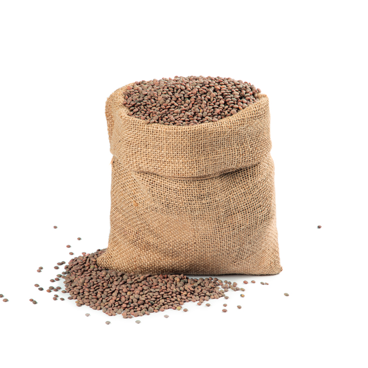 LENTEJA PARDINA , KG 