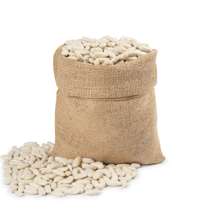 FABA BLANCA, KG FINCA LLORIN