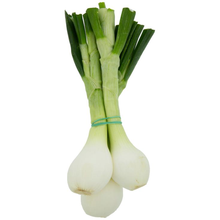 CEBOLLETAS MANOJO, 500G APROX 