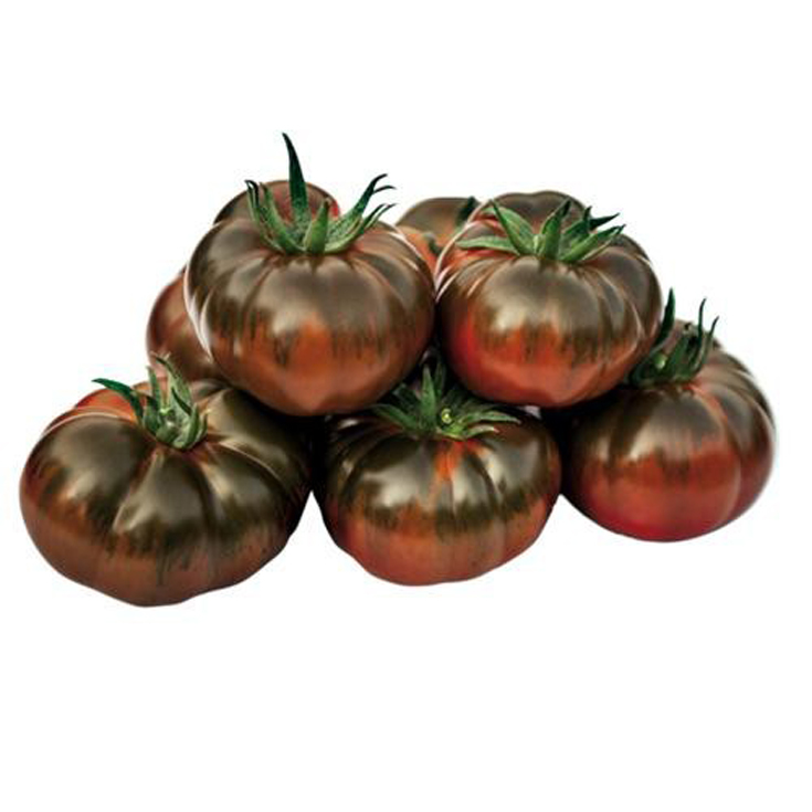 TOMATE IBERICO, KG 