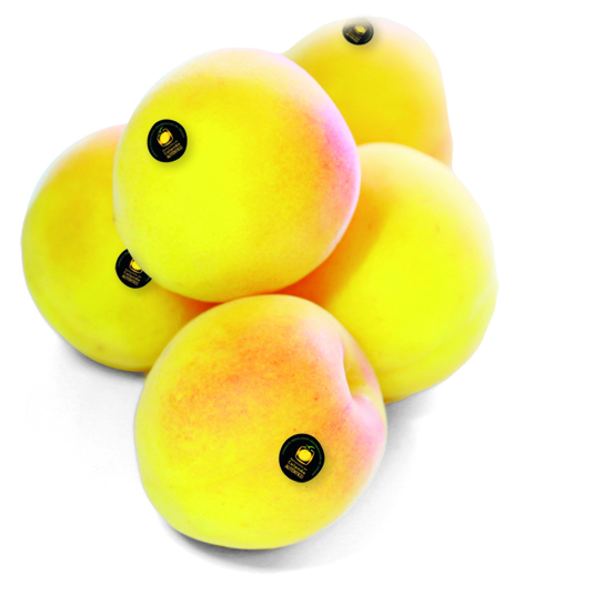 MELOCOTON CALANDA, KG (300G APRO UNIDAD) 