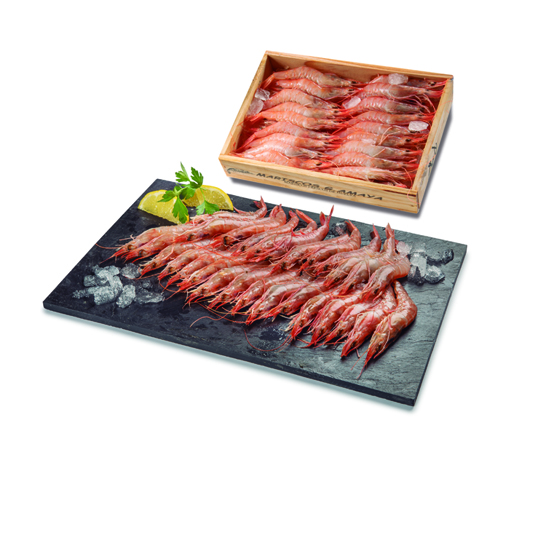 GAMBA PLANCHA HUELVA, CAJA 500G 