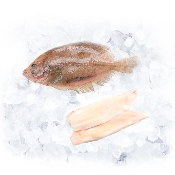 GALLOS FILETE PIEZA 1,5KG APROX, KG 