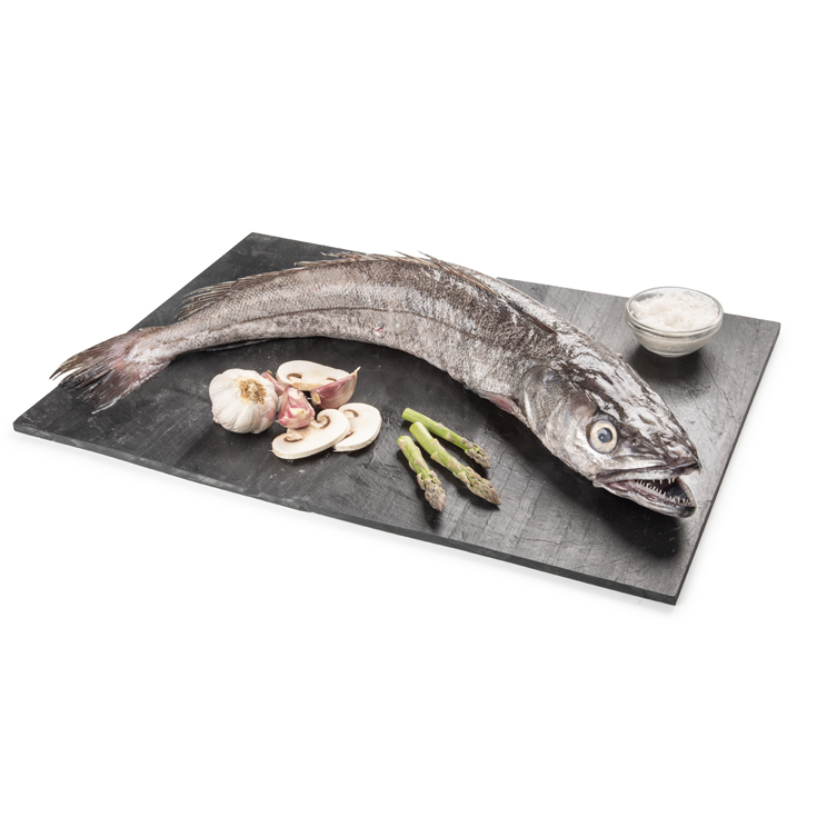 PESCADILLA VOLANTA, PIEZA MAS DE 1,5KG 