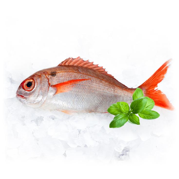 BESUGO PIEZAA DE 500G APROX, KG 