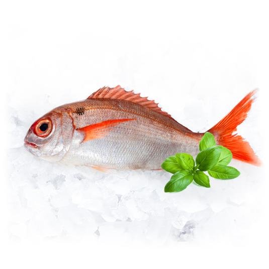 BESUGO PIEZAA DE 500G APROX, KG 