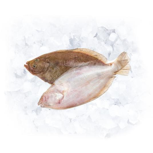 GALLO CERRADO, PIEZA 250G APROX, KG 