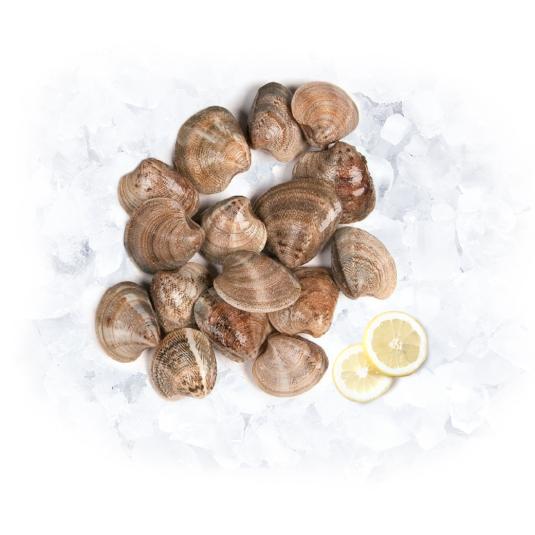 CHIRLA EXTRA GORDA, KG 