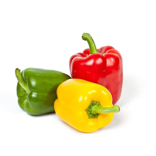 PIMIENTO TRICOLOR , 500G 