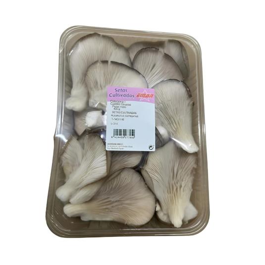 SETAS BANDEJA 300 GR APROX 