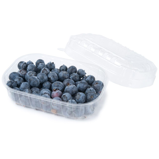 ARANDANOS TARRINA , 125G ANTARKI EXPORT