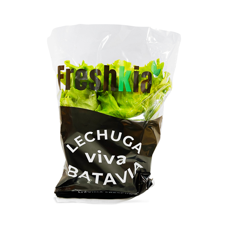 LECHUGA BATAVIA HIDROPONICA FRESHKIA