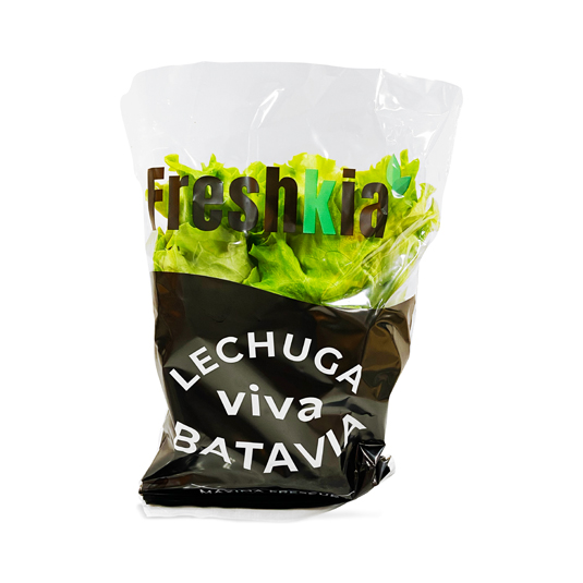 LECHUGA BATAVIA HIDROPONICA FRESHKIA